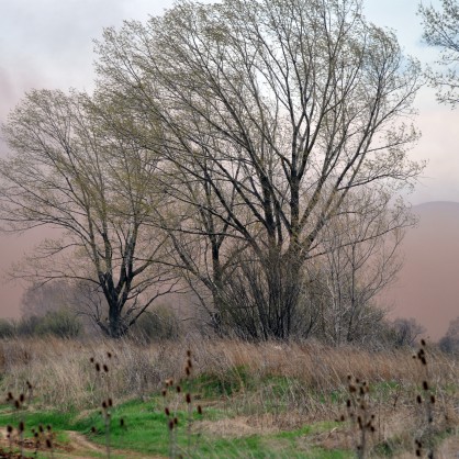 Червен облак прах се разнесе из софийските села