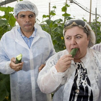 В Испания се разгневиха на твърденията, че заразените зеленчуци са от Алмерия и Малага