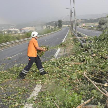 Буря в Благоевградско счупи дървета