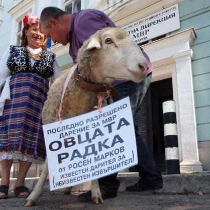 Росен Марков дари овца на варненската полиция