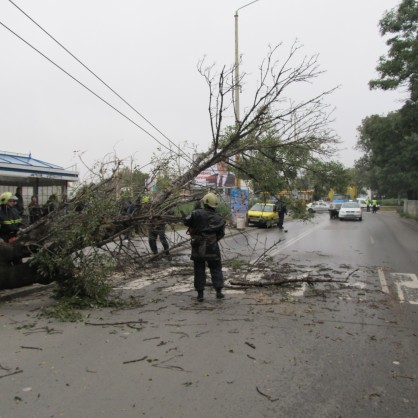 Бурята изкорени дърво в Русе и скъса жиците на тролеите
