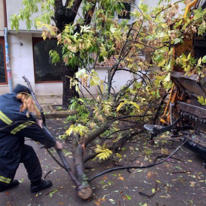 15 сигнала за паднали дървета са подадени във Варна заради силния вятър