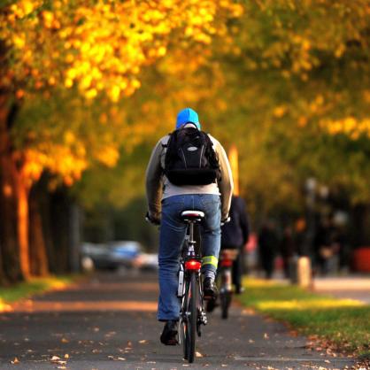 Велосипед, колело, есен, парк