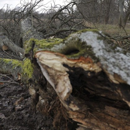 Ураганни ветрове причиниха множество разрушения в Полша