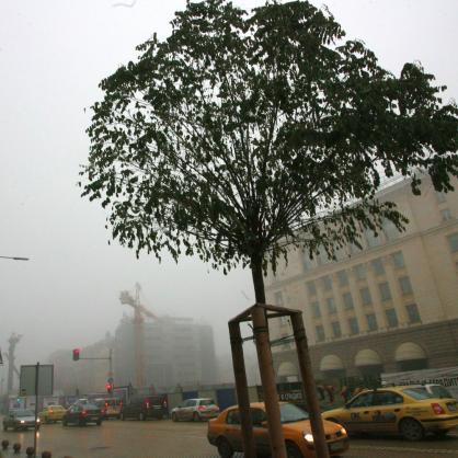 Коли , движение, трафик в мъгла над София