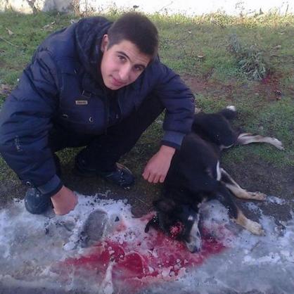 Снимка на убито куче разбуни Фейсбук