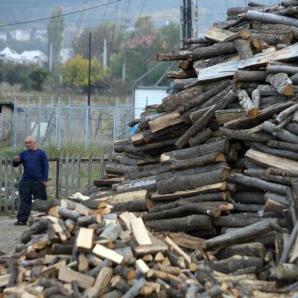 Заради студовете има недостиг на дървесина