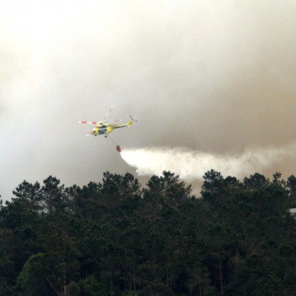 Горски пожар опустошава парка Фрагас до Еуме