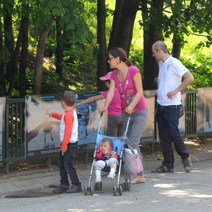 Птиците от двете страни на океана показва изложбата „Летящото богатство: от България до Америка” столичния Зоопарк