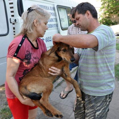 В Димитровград ловят кучетата с временна упойка