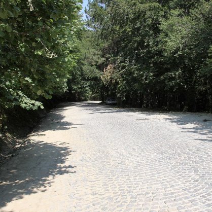Катастрофа на Витоша