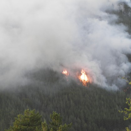 Огромният пожар в района на село Бабяк, община Белица