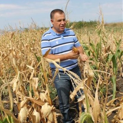 Мирослав Найденов провери реколтата от царевица в нива край Раковски