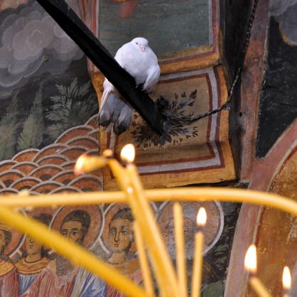 Бял гълъб в манастира 