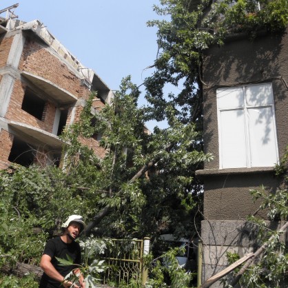 Силен вятър събори върху къща в Благоевград огромен клон на дърво