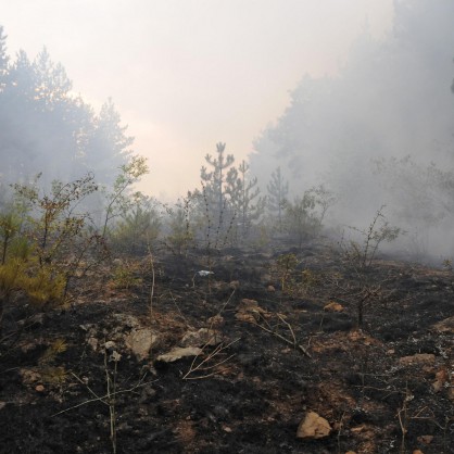 Пожар в община Средец