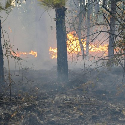 Пожарът в община Средец