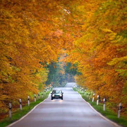 Есен, листа, парк, кола, път