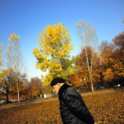 Есен, листа, парк