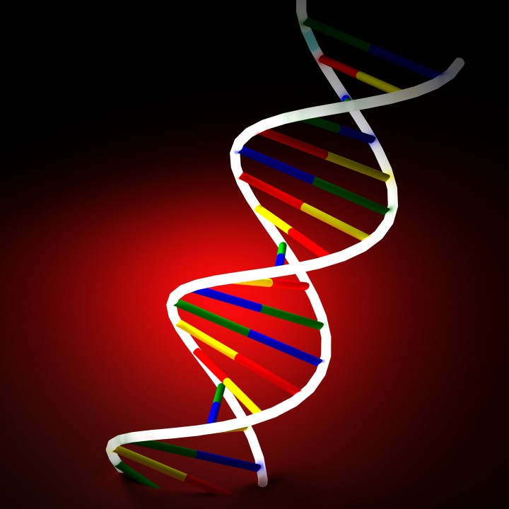 Учените са създали висококачествен кинетичен модел на динамиката на 70 ключови белтъка, участващи в поправката на ДНК