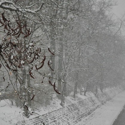 Отново заваля сняг в София