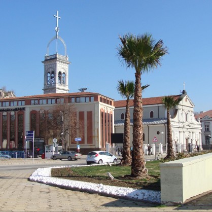 Палмите в Пловдив са разопаковани