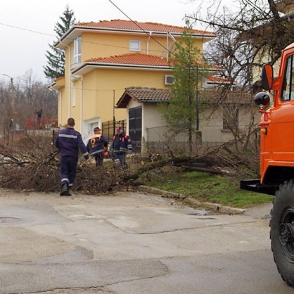 Бедствено положение в Габрово след бурен вятър