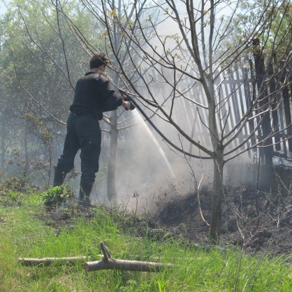Пожар избухна днес по обед в района на гробищен парк 