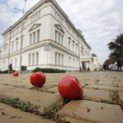 Протестиращите замеряха сградата на парламента с домати и яйца