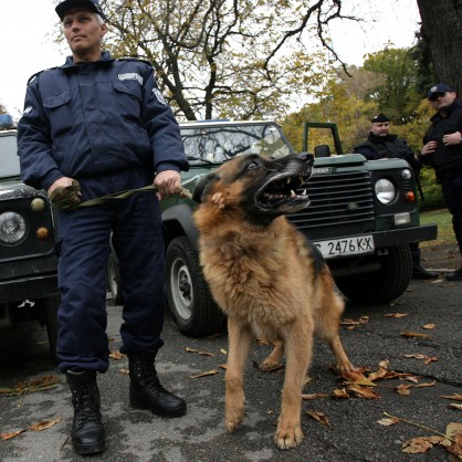 Полицай с куче
