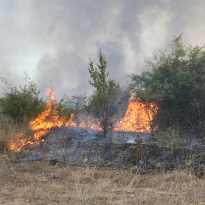 Пожар край Стара Загора