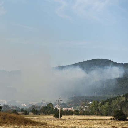 Голям пожар гори край село Локорско