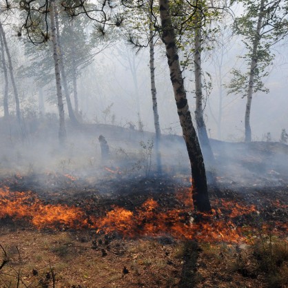Пожарът край Локорско