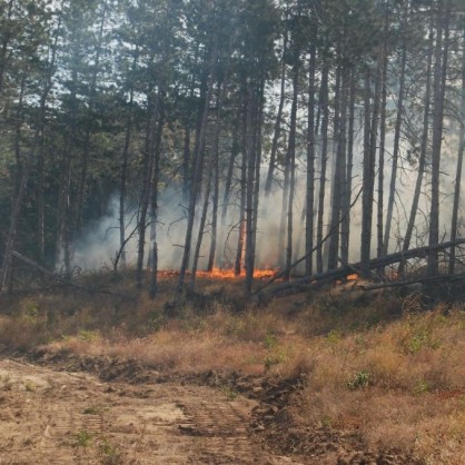 Пожар край Свиленград