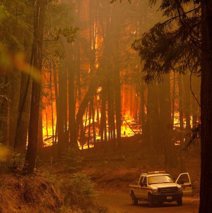 Пожар в американския национален парк Йосемити