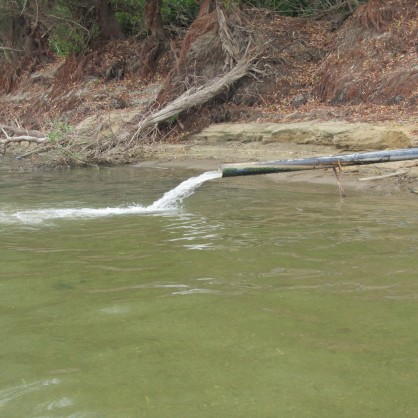 Изтичане на отпадни води от завода за биодизел край село Ряхово, Русенско, е довело до изчезване на рибата в район