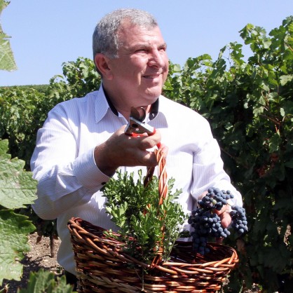 Земеделския министър професор Димитър Греков официално откри гроздобера в лозята на винарска изба 