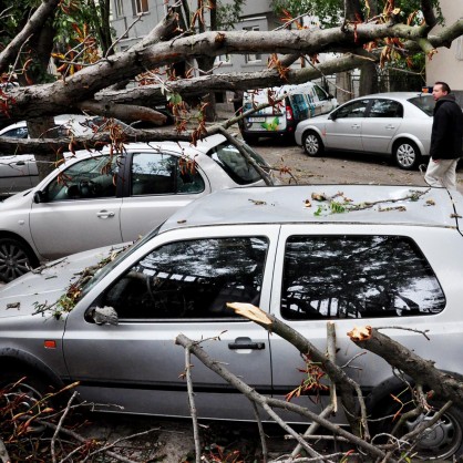Бурен вятър събори дърво върху три автомобила във Варна