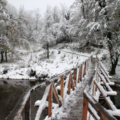 Снеговалежът остави села без ток във Великотърновско