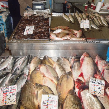 Магазин за риба във Варна