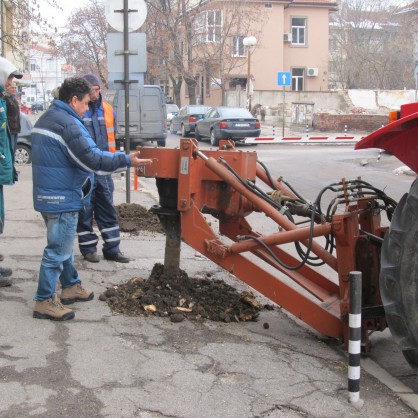 Засаждат нови дръвчета в Русе