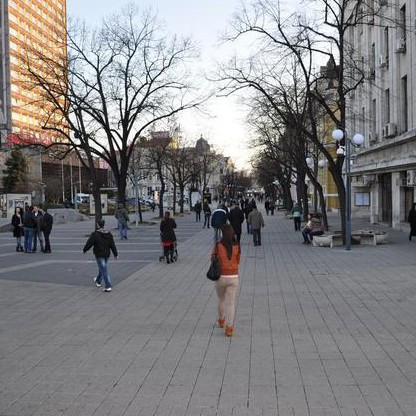 Община Бургас ще подмени 16 стари липи по улица 