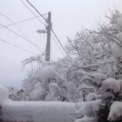 В околностите на София снежната покривка вече е над половин метър