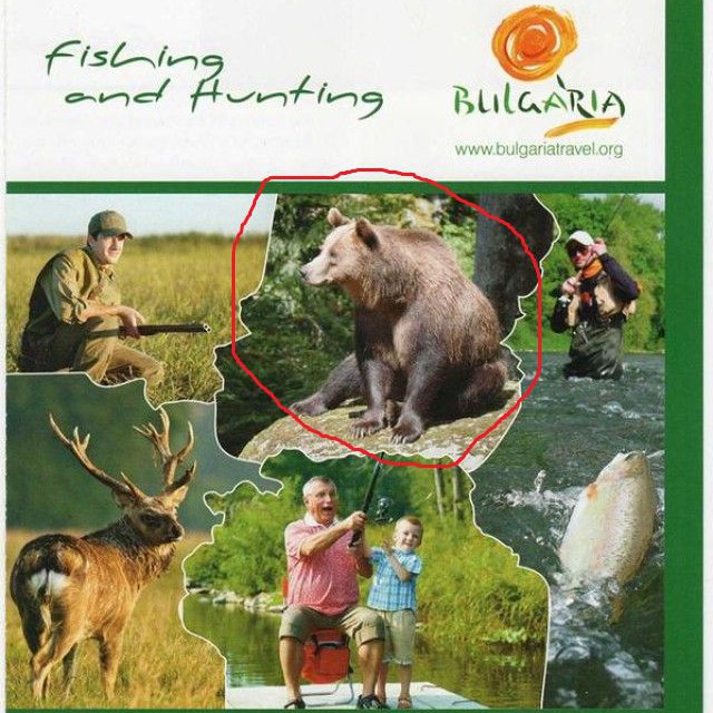 Рекламна брошура от Министерството на туризма с мечка гризли
