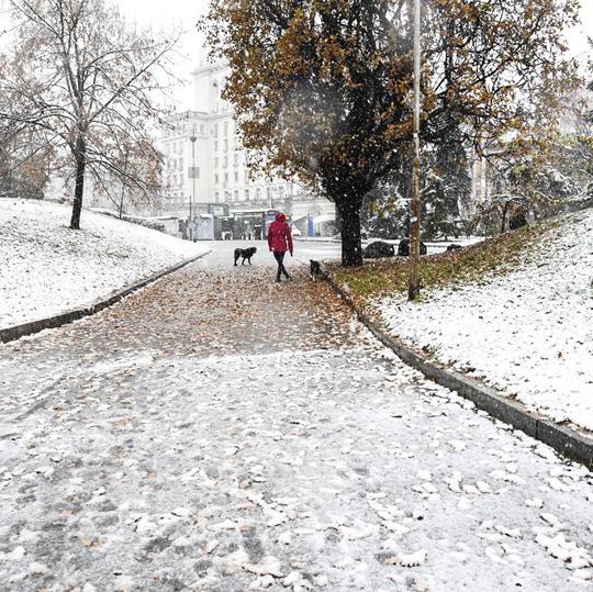 Сняг в София за Коледа може и да има