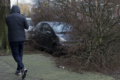 Прекършено дърво, паднало върху кола в Амстердам