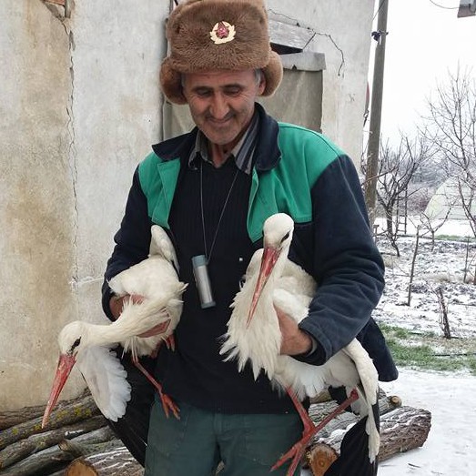 Сафет Халид от силистренското село Зарица спаси няколко измръзнали щъркела